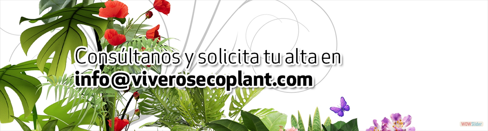 responsive slider
